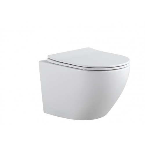 Подвесной унитаз безободковый Aquanet Cetus 2.0 W (243541) Rimless, с крышкой-сиденьем Soft Close - Slimseat