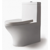 Напольный унитаз Bravat Rael CX01016UW-PA крышка микролифт