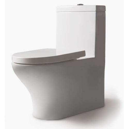 Напольный унитаз Bravat Rael CX01016UW-PA крышка микролифт