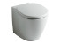 Приставной унитаз соло Ideal Standard Connect, E803401