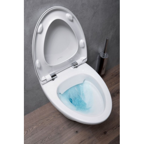 Подвесной безободковый унитаз Jacob Delafon Nouvelle Vague, быстросъёмная крышка микролифт, EDJ102-00/E20068-00, (отсутствует упаковка)-2